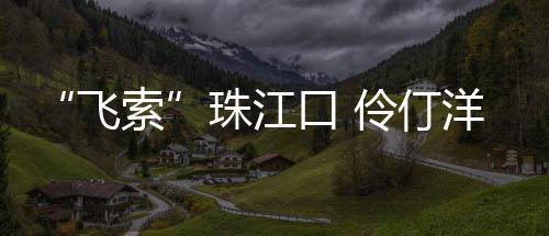 架设索夹和吊索安装阶段