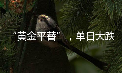 单日大跌需求大则涨价