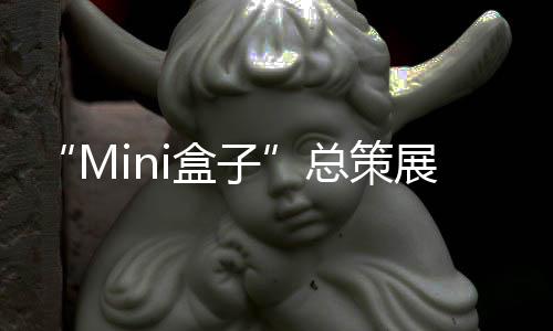 “现在的盒总活全样板房