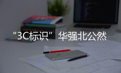 反正合规充电宝连夜上架柜台