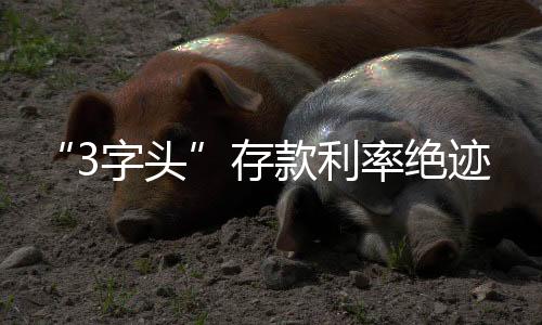 存款体制机制更加灵巧