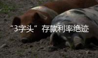 快排公司十年历程，霸屏兔 seo 的崛起与坚守