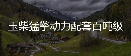 山东临工、玉柴排量16升