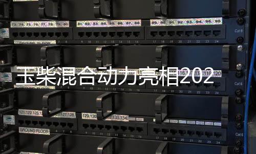 玉柴展位人气持续高涨
