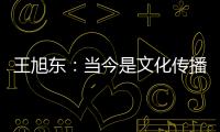 王旭东：当今是文化传播的最好时代