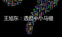 王旭东
：透过小小马镫 可知文明不同