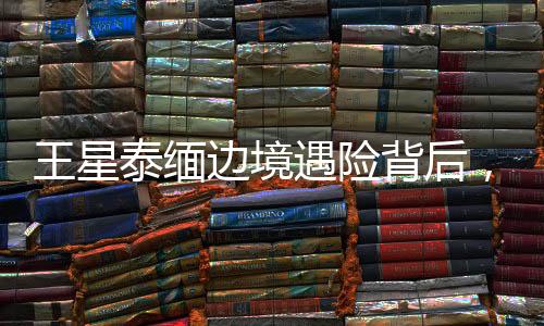 王星演员赵欣（化名）称