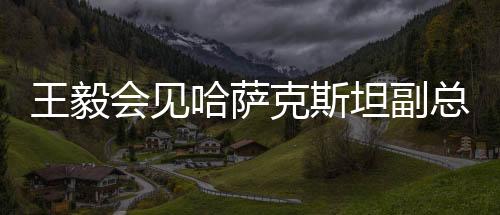 坦副感谢中方支持哈抗击疫情