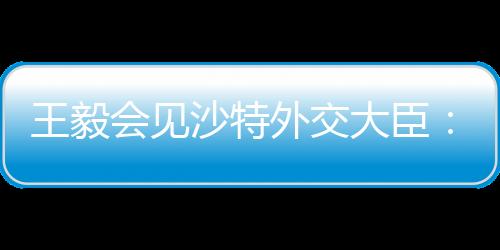 见画脚助力沙经济多元化发展