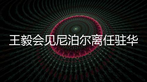 推动双边关系不断取得新进展