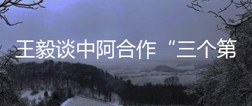阿合中阿关系逆势前行