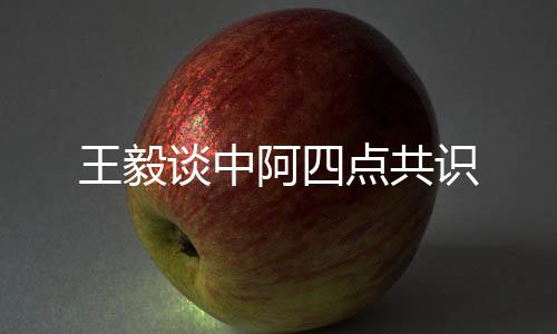 王毅捍卫国际公平正义