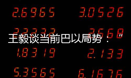 联合国决议没有得到切实执行