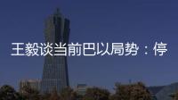 王毅谈当前巴以局势：停火止暴是当务之急