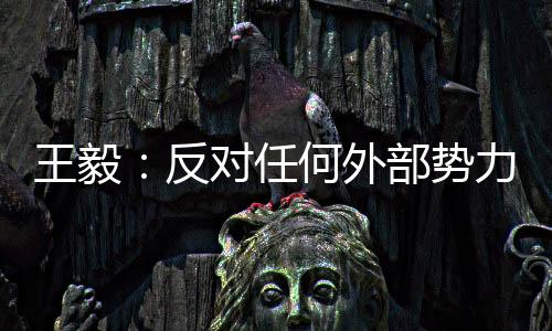 外部发展障碍逐步解除