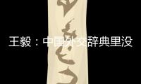 快排公司十年历程，霸屏兔 seo 的崛起与坚守