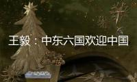 王毅：中东六国欢迎中国在中东事务发挥更大作用