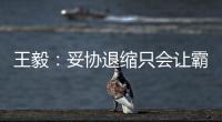 王毅：妥协退缩只会让霸凌者得寸进尺