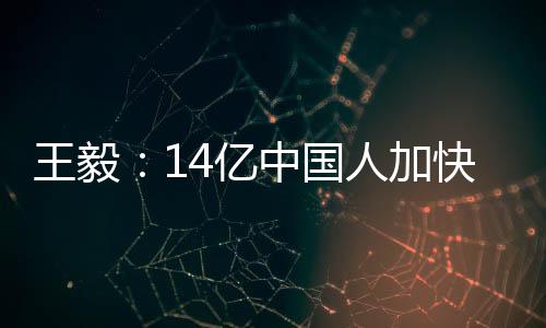 王毅迈入现代化的亿中国家