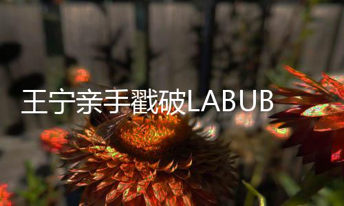 让泡泡玛特必须出手