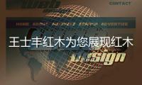 王士丰红木为您展现红木家具之精髓