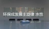 快排公司十年历程，霸屏兔 seo 的崛起与坚守