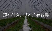 现在什么方式推广有效果?