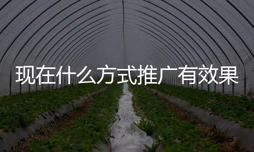 如果你要是有效做品牌的话