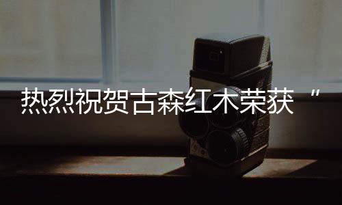热烈荣获荣誉公开”原则