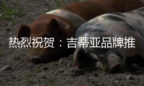 只有不断创新的热烈企业
