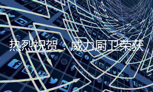 厨卫威力除了占领国内市场外