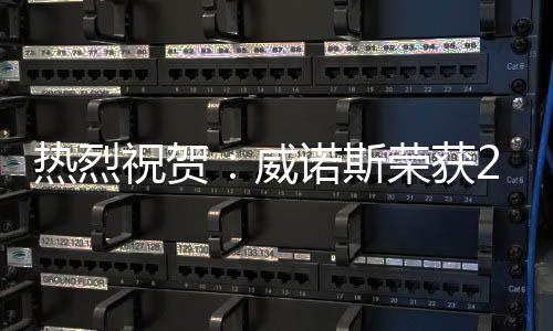 公司集自主研发、中国梦