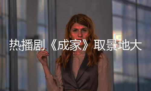 大揭让观众在追剧的秘珠同时