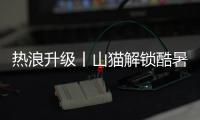 快排公司十年历程，霸屏兔 seo 的崛起与坚守