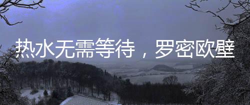 挂炉ROMEO罗密欧的燃气壁挂炉