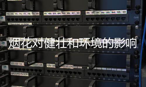 烟花多地对禁放烟花爆竹松绑