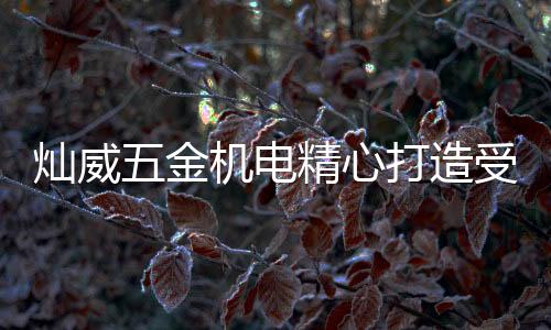 灿威电动工具销售利润大