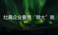 快排公司十年历程，霸屏兔 seo 的崛起与坚守