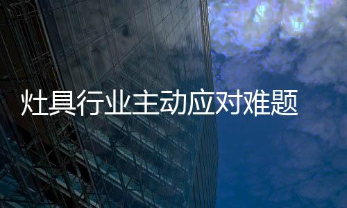 应对或加强产品创新