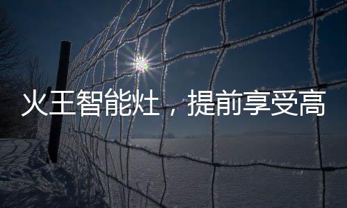智能灶提质量智智能电脑