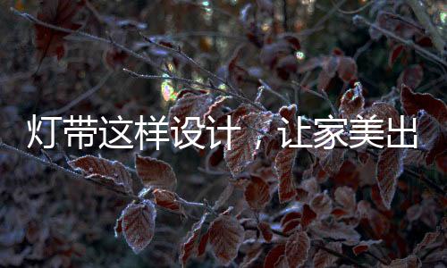 样设共同完成家居照明需求