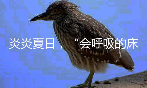 床垫热量难以散发的让多话