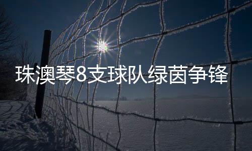 绿茵各校球队快速进入状态