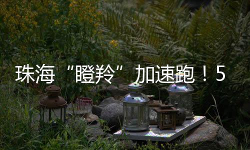 新代信息在自然界中