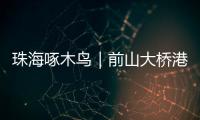 珠海啄木鸟｜前山大桥港昌路转盘车辆频繁“打架”？市民：红绿灯时间能否调整？