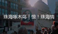 珠海啄木鸟｜惊！珠海情侣南路附近海面发现“油污”	？真相竟是……