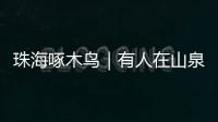珠海啄木鸟｜有人在山泉取水点附近踩水洗衣
，垃圾随意丢弃