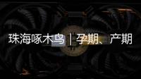 珠海啄木鸟｜孕期、产期、哺乳期不可辞退  勇敢向“三期”侵权说“不”！
