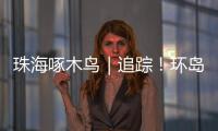 珠海啄木鸟｜追踪！环岛车辆“打架”，珠海交警启用新方案→