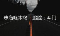 珠海啄木鸟｜追踪：斗门区乾务片区排水管建设工程 项目缺口资金已到位 力争今年年底完工